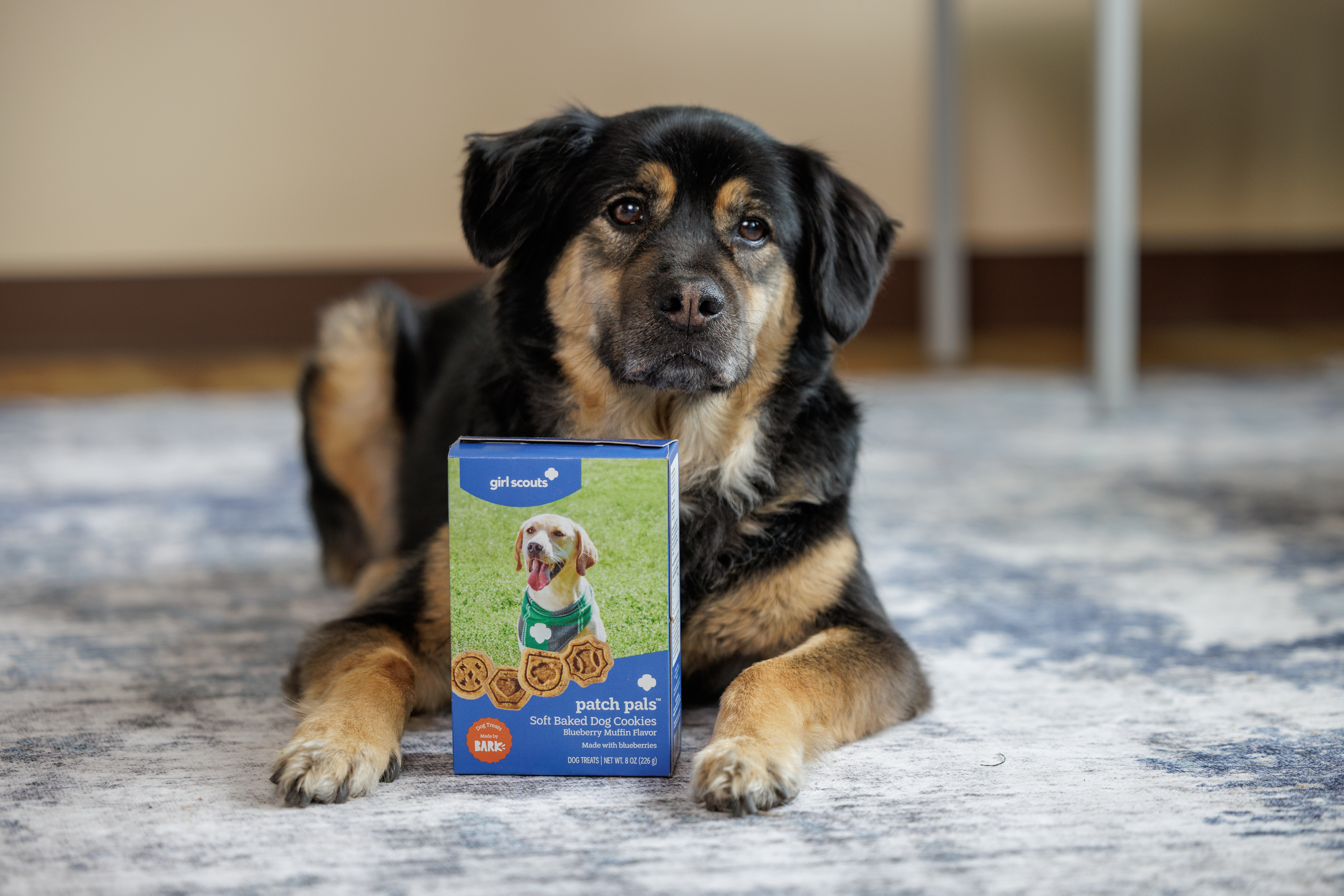 Girl scout dog cookies