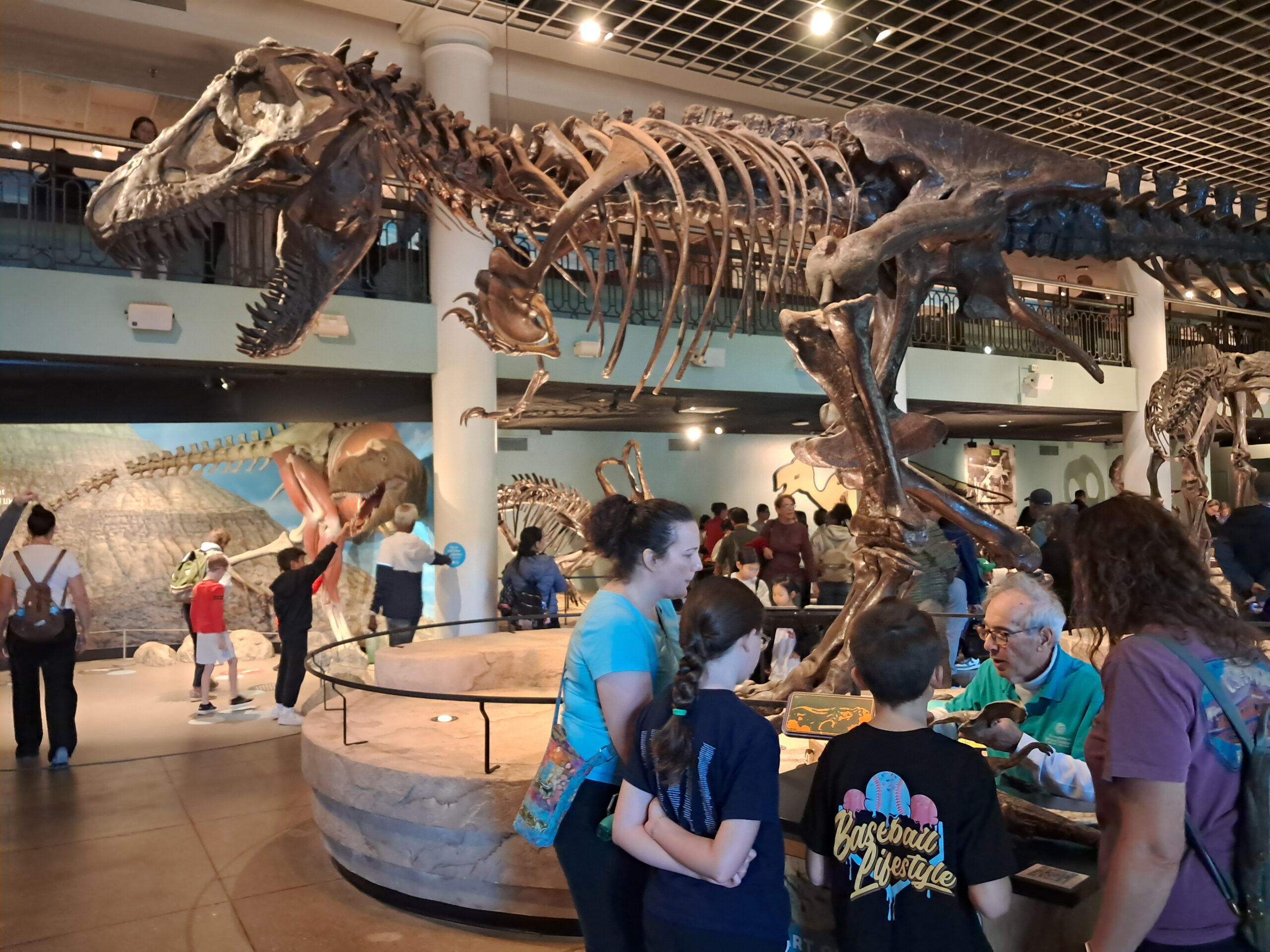 The Academy of Natural Sciences Museum