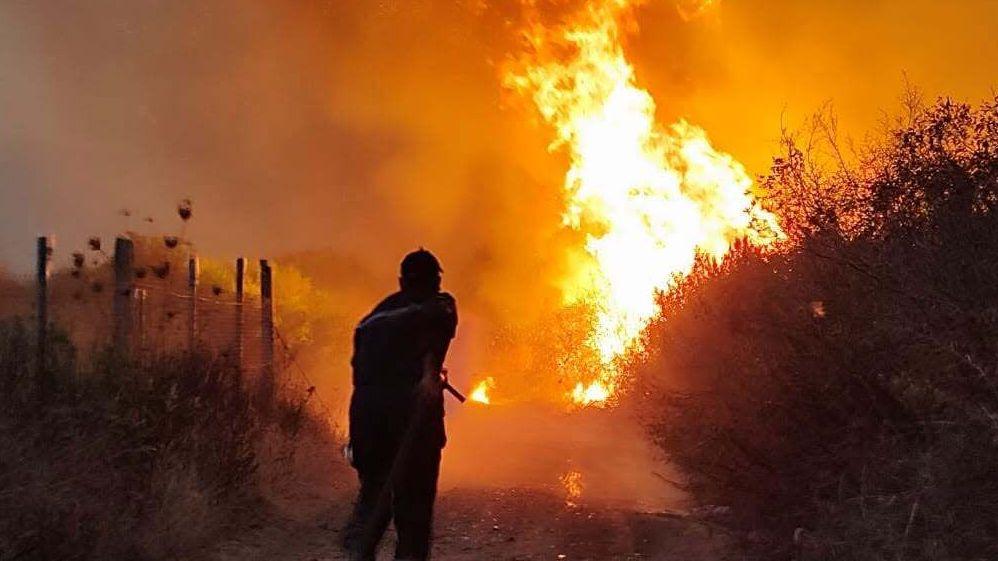 An Algerian Civil Protection firefighter in a ground operation to battle a raging forest fire